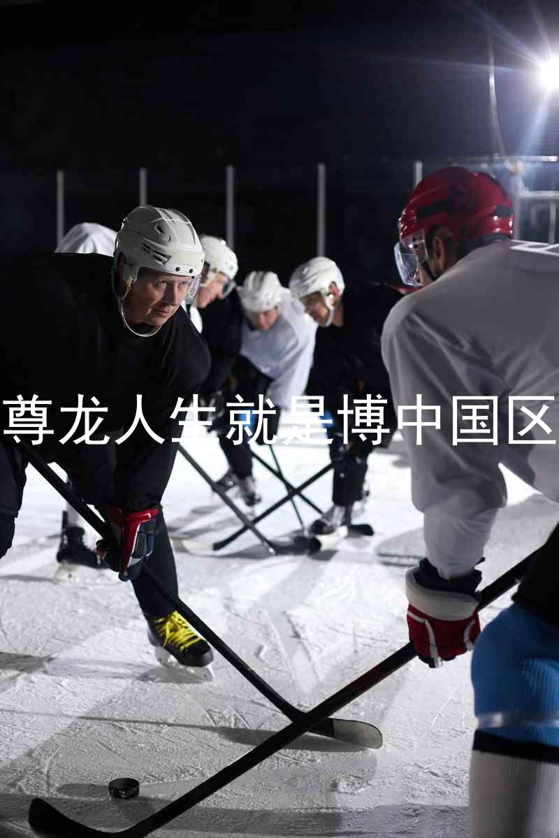 尊龙人生就是博中国区