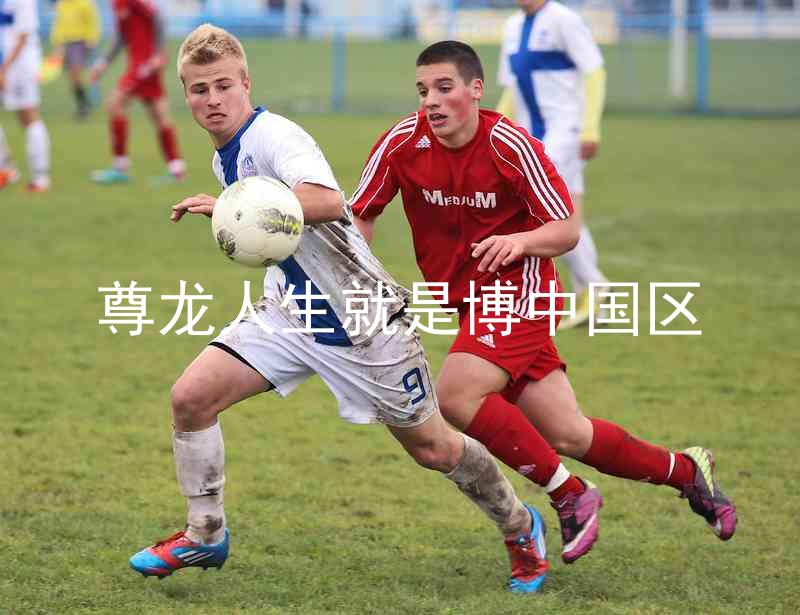 尊龙人生就是博中国区